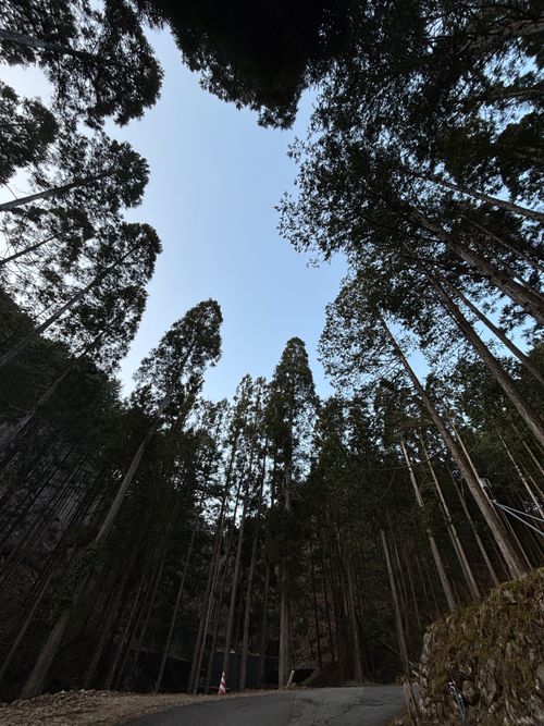 Newアイテムでぐうたらキャンプ😊 火打の森キャンプ場 ファミリーキャンプ オートサイト まつけんさんのキャンプブログ CAMPiii（キャンピー） -キャンプ専用SNS キャンプのすべてがここに集まる-