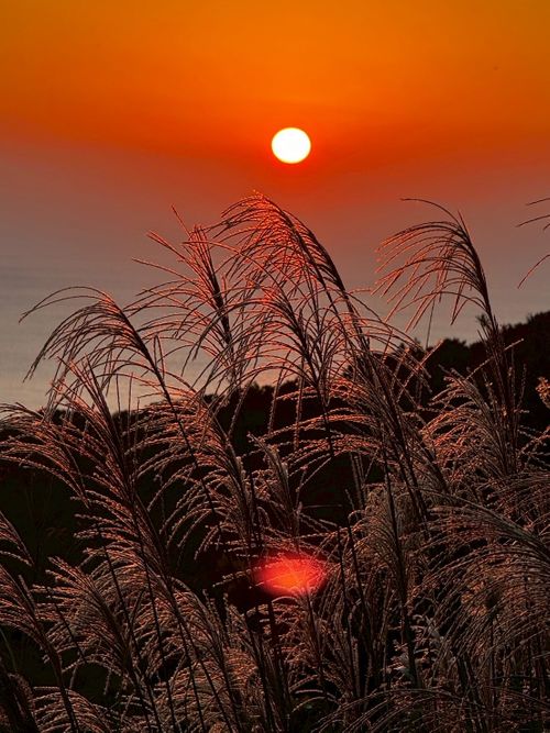 三度目の正直はホントに叶うって，この歳になって知りました 有田BLUEキャンプ場 グループキャンプ オートサイト とのさんのキャンプブログ CAMPiii（キャンピー） -キャンプ専用SNS キャンプのすべてがここに集まる-