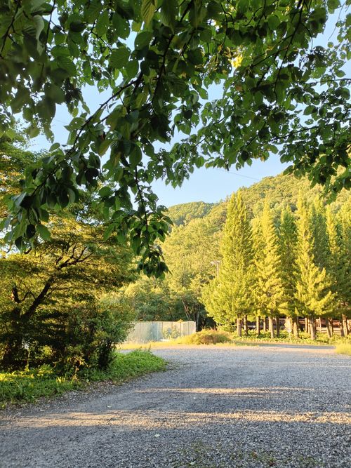 木曽駒麓寄り 木曽駒オートキャンプ場 ソロキャンプ フリーサイト グランピング オートサイト Kazu Aさんのキャンプブログ CAMPiii（キャンピー） -キャンプ専用SNS キャンプのすべてがここに集まる-