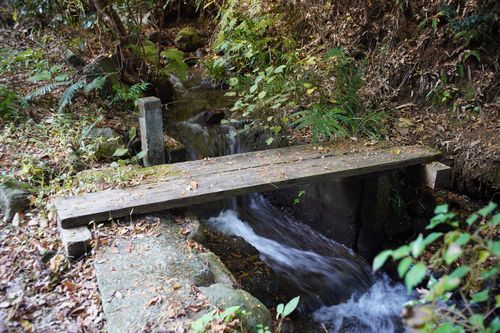 【キャンプ行けてない】キャンプ場マルシェイベントへ行った記録 TINY CAMP VILLAGE 週末スナフキンさんのキャンプブログ CAMPiii（キャンピー） -キャンプ専用SNS キャンプのすべてがここに集まる-