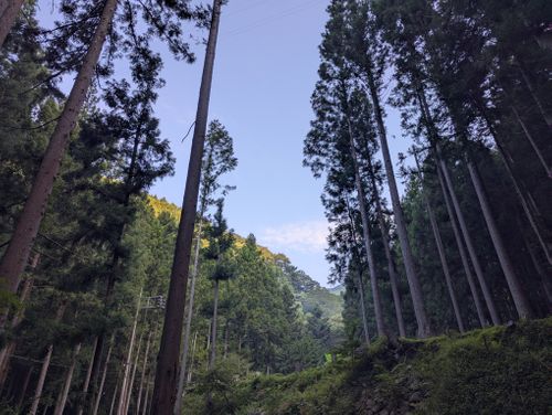 久しぶりのTHE野営地が変わってた話 野営地 ソロキャンプ フリーサイト 週末スナフキンさんのキャンプブログ CAMPiii(キャンピー) -キャンプ専用SNS キャンプのすべてがここに集まる-