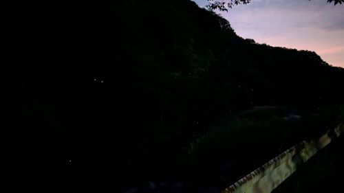 ほう　ほう　ほたるこい🎵久し振りのホタルキャンプ🏕️ ソロキャンプ ファミリーキャンプ グループキャンプ 区画サイト オートサイト ヒゲキャンさんのキャンプブログ CAMPiii（キャンピー） -キャンプ専用SNS キャンプのすべてがここに集まる-