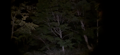 貸し切りすぎ、気持ち良すぎ、カメムシいすぎ North Village Hirugano - Camping Fields ファミリーキャンプ オートサイト 区画サイト りょっちーさんのキャンプブログ CAMPiii（キャンピー） -キャンプ専用SNS キャンプのすべてがここに集まる-