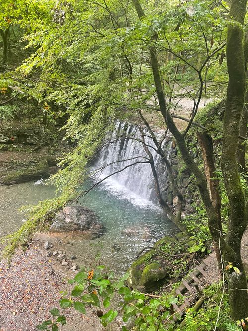 清流が目の前にある最高のロケーション!徒歩ソロで行く大鳩園キャンプ場 大鳩園キャンプ場 ソロキャンプ フリーサイト ma9さんのキャンプブログ CAMPiii(キャンピー) -キャンプ専用SNS キャンプのすべてがここに集まる-
