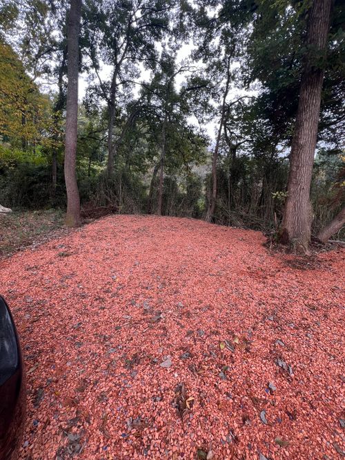 那須　伊王野キャンプ場 伊王野 ソロキャンプ 区画サイト Maaaaaa!さんのキャンプブログ CAMPiii（キャンピー） -キャンプ専用SNS キャンプのすべてがここに集まる-