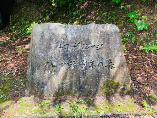 CAMPiii(キャンピー) ねこ🐈⬛さんのキャンプブログ 久しぶりの彼氏とキャンプ🏕 八ッ杉千年の森キャンプ場