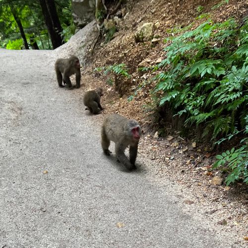 I miss HOTAKA⛰️ 徳沢キャンプ場 ソロキャンプ フリーサイト shuさんのキャンプブログ CAMPiii(キャンピー) -キャンプ専用SNS キャンプのすべてがここに集まる-