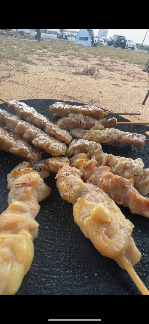 秋穂の名物《車海老を喰らう》おじうさグルキャン△ in 美濃ケ浜海浜公園キャンプ場 〜 CAMP NO.160 美濃ケ浜海浜広場 ソロキャンプ ファミリーキャンプ グループキャンプ フリーサイト おじキャン△さんのキャンプブログ CAMPiii（キャンピー） -キャンプ専用SNS キャンプのすべてがここに集まる-