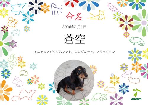 蒼空 阿寺渓谷キャンプ場 ファミリーキャンプ 区画サイト Aoさんのキャンプブログ CAMPiii(キャンピー) -キャンプ専用SNS キャンプのすべてがここに集まる-