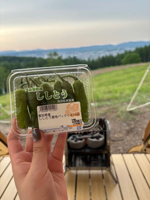 また来た。 サウスヒルズ ソロキャンプ 区画サイト なちさんのキャンプブログ CAMPiii（キャンピー） -キャンプ専用SNS キャンプのすべてがここに集まる-