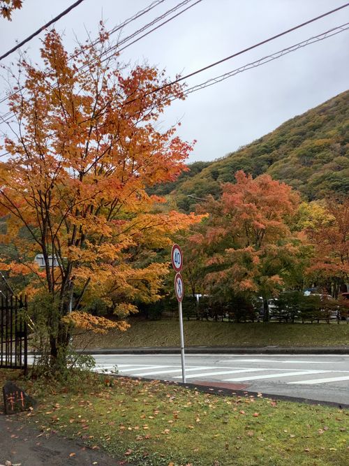 Vol.105 25/NO.24 笛吹小屋キャンプ場〜中津峡〜〆ホルモン屋‼️ 笛吹小屋キャンプ場 ソロキャンプ 区画サイト 🔥焚き火🔥さんのキャンプブログ CAMPiii(キャンピー) -キャンプ専用SNS キャンプのすべてがここに集まる-