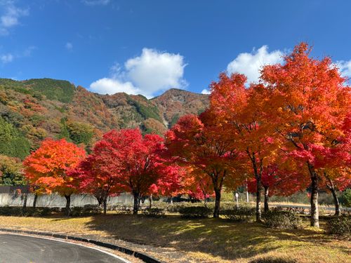 CAMPiii（キャンピー） 92さんのキャンプブログ ソロキャンvol.6湯キャンプ 湯キャンプ