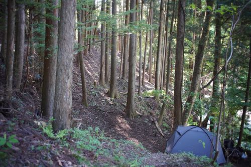 久しぶりのwoodsman WOODSMAN CAMPGROUND ソロキャンプ フリーサイト 週末スナフキンさんのキャンプブログ CAMPiii（キャンピー） -キャンプ専用SNS キャンプのすべてがここに集まる-