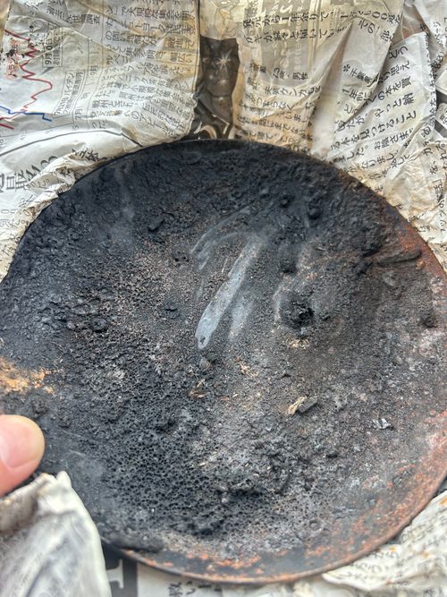 2026始動 新戸キャンプ場 ソロキャンプ フリーサイト Genさんのキャンプブログ CAMPiii（キャンピー） -キャンプ専用SNS キャンプのすべてがここに集まる-