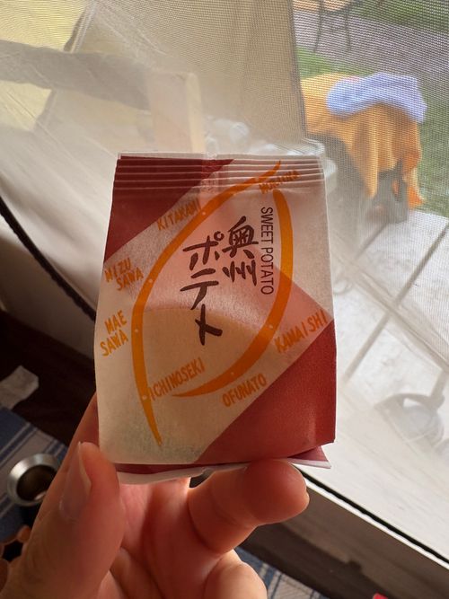 期間限定の独身✖︎読書🟰独書キャンプ🏕️ 奥州平泉温泉 そば庵 しづか亭 ソロキャンプ 区画サイト ぱぱちょさんのキャンプブログ CAMPiii（キャンピー） -キャンプ専用SNS キャンプのすべてがここに集まる-