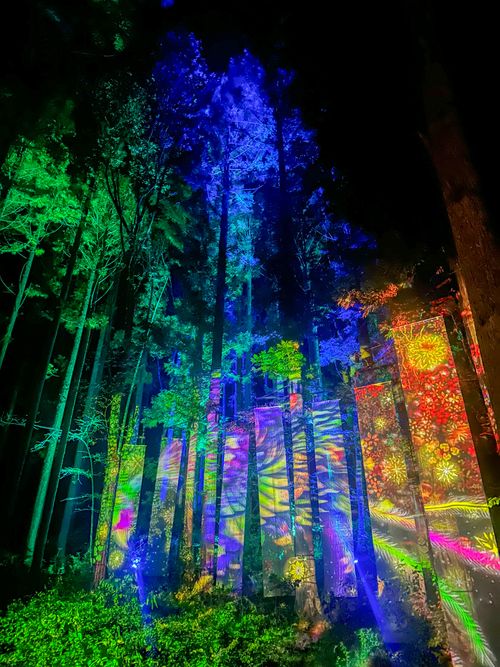 コレぞTHE紅葉キャンプ🍁酒より景色を楽しむキャンプ🏕️ ちばむらオートキャンパーズリゾート（旧高原千葉村） skitさんのキャンプブログ CAMPiii（キャンピー） -キャンプ専用SNS キャンプのすべてがここに集まる-