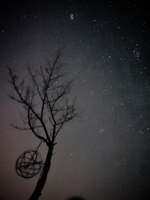 念願だった初・阿蘇(熊本)の秋を楽しむおじおばうさキャン△ in ゴンドーシャロレー 〜 CAMP NO.163 ゴンドーシャロレー ファミリーキャンプ グループキャンプ 区画サイト おじキャン△さんのキャンプブログ CAMPiii（キャンピー） -キャンプ専用SNS キャンプのすべてがここに集まる-