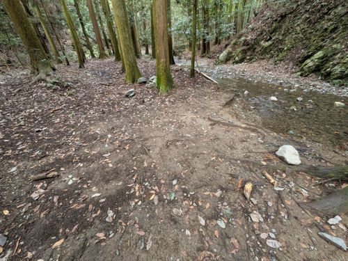 間近で見た熊はヤバかった。💦 大阪市 ソロキャンプ フリーサイト ぞのさんさんのキャンプブログ CAMPiii(キャンピー) -キャンプ専用SNS キャンプのすべてがここに集まる-