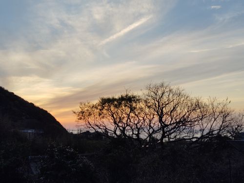 用事ついでに2泊キャンプ 淡路島アウトドア ビレッジ 津井キャンプ場 ソロキャンプ 区画サイト しずさんのキャンプブログ CAMPiii（キャンピー） -キャンプ専用SNS キャンプのすべてがここに集まる-