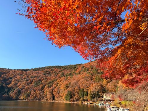 毎年行きたいキャンプ場 四尾連湖 水明荘キャンプ場 ソロキャンプ 区画サイト フリーサイト Ryo-hateさんのキャンプブログ CAMPiii（キャンピー） -キャンプ専用SNS キャンプのすべてがここに集まる-