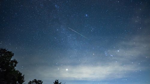 星空間オートキャンプ場 ir.bisei 星空間オートキャンプ場 ファミリーキャンプ オートサイト ユウジさんのキャンプブログ CAMPiii（キャンピー） -キャンプ専用SNS キャンプのすべてがここに集まる-