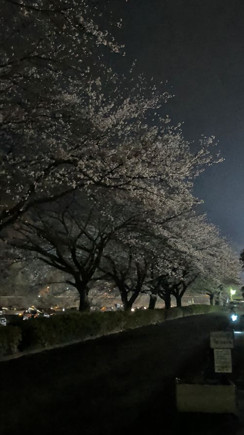 田代 中津川河川敷 ソロキャンプ フリーサイト オートサイト IZUIZUさんのキャンプブログ CAMPiii（キャンピー） -キャンプ専用SNS キャンプのすべてがここに集まる-