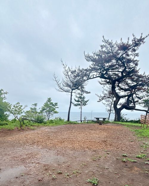 夏はやっぱり海キャンだ‪🔆‬🍉🌻🏊🌊 神割崎キャンプ場 Oniyomeさんのキャンプブログ CAMPiii（キャンピー） -キャンプ専用SNS キャンプのすべてがここに集まる-