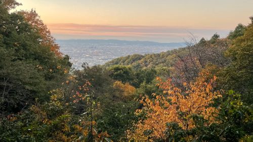 東大阪の夜景キャンプ！ 東大阪市立野外活動センター by RECAMP ファミリーキャンプ 区画サイト フォレキャンさんのキャンプブログ CAMPiii（キャンピー） -キャンプ専用SNS キャンプのすべてがここに集まる-