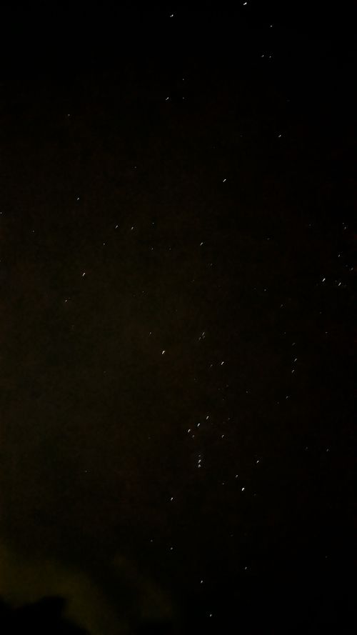 2026年キャンプ始め🎍爆風けん玉合宿🏕️ ひなもりオートキャンプ場 ファミリーキャンプ ヒゲキャンさんのキャンプブログ CAMPiii（キャンピー） -キャンプ専用SNS キャンプのすべてがここに集まる-