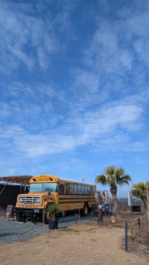 西海岸？🏄️いいえ、ここは西◯◯！ 阿蘇キャンプ Palm Park Adagio ソロキャンプ オートサイト ヒゲキャンさんのキャンプブログ CAMPiii（キャンピー） -キャンプ専用SNS キャンプのすべてがここに集まる-