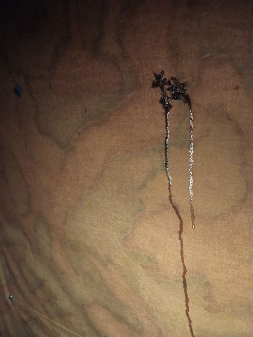 2025年   またしても 雨の軍幕祭り 角田大橋河川敷 ソロキャンプ フリーサイト ウエィダーさんのキャンプブログ CAMPiii（キャンピー） -キャンプ専用SNS キャンプのすべてがここに集まる-