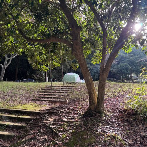 霜月最高のスタートキャンプ🫶 グランピングKAWASAKI懐かしの森 ファミリーキャンプ 区画サイト オートサイト はるかさんのキャンプブログ CAMPiii（キャンピー） -キャンプ専用SNS キャンプのすべてがここに集まる-