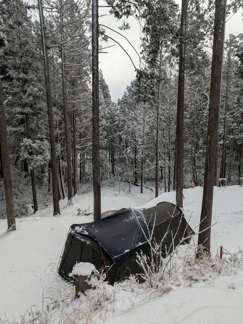 2026初キャンプ！SnowCamp withCAT！ the veg out ソロキャンプ グループキャンプ 区画サイト オートサイト ちあさんのキャンプブログ CAMPiii（キャンピー） -キャンプ専用SNS キャンプのすべてがここに集まる-