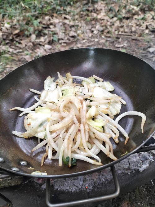 薪拾い放題！！ 月川荘キャンプ場 林間サイト ソロキャンプ フリーサイト ぼっちオヤジさんのキャンプブログ CAMPiii（キャンピー） -キャンプ専用SNS キャンプのすべてがここに集まる-