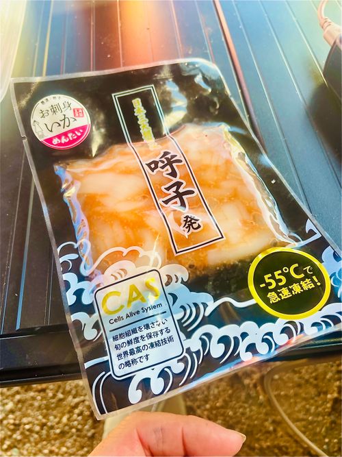 秋穂の名物《車海老を喰らう》おじうさグルキャン△ in 美濃ケ浜海浜公園キャンプ場 〜 CAMP NO.160 美濃ケ浜海浜広場 ソロキャンプ ファミリーキャンプ グループキャンプ フリーサイト おじキャン△さんのキャンプブログ CAMPiii（キャンピー） -キャンプ専用SNS キャンプのすべてがここに集まる-