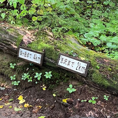 I miss HOTAKA⛰️ 徳沢キャンプ場 ソロキャンプ フリーサイト shuさんのキャンプブログ CAMPiii(キャンピー) -キャンプ専用SNS キャンプのすべてがここに集まる-