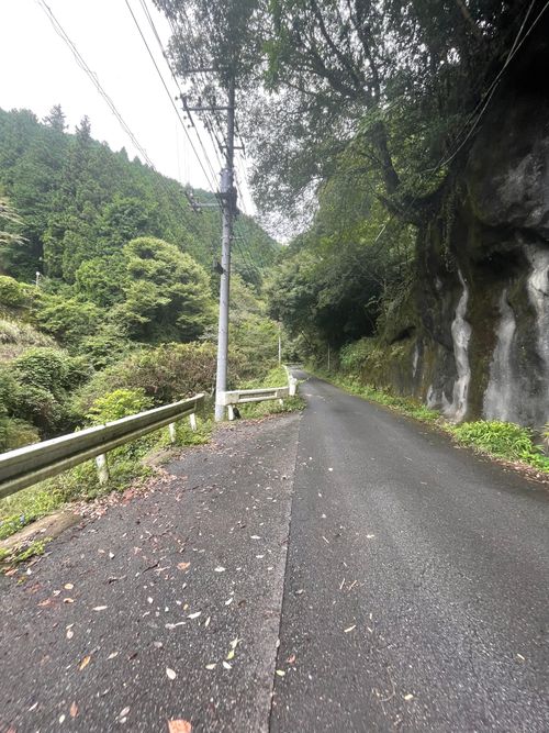 清流が目の前にある最高のロケーション!徒歩ソロで行く大鳩園キャンプ場 大鳩園キャンプ場 ソロキャンプ フリーサイト ma9さんのキャンプブログ CAMPiii(キャンピー) -キャンプ専用SNS キャンプのすべてがここに集まる-