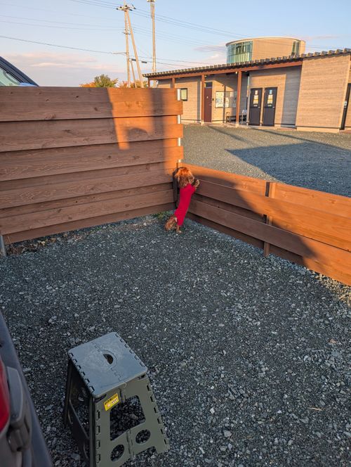 CAMPiii（キャンピー） yosihikozc4さんのキャンプブログ 栗ざんまいからのRVパーク泊 RVパークsmartおおい～Nomad’sNook～