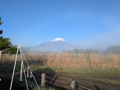 富士山満喫キャンプ LScamp山中湖 ファミリーキャンプ グループキャンプ 区画サイト ひなはるさんのキャンプブログ CAMPiii（キャンピー） -キャンプ専用SNS キャンプのすべてがここに集まる-