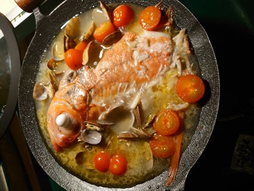 初ムーンライトキャビン 南伊豆キャンピングテラス おうこさんのキャンプブログ CAMPiii（キャンピー） -キャンプ専用SNS キャンプのすべてがここに集まる-