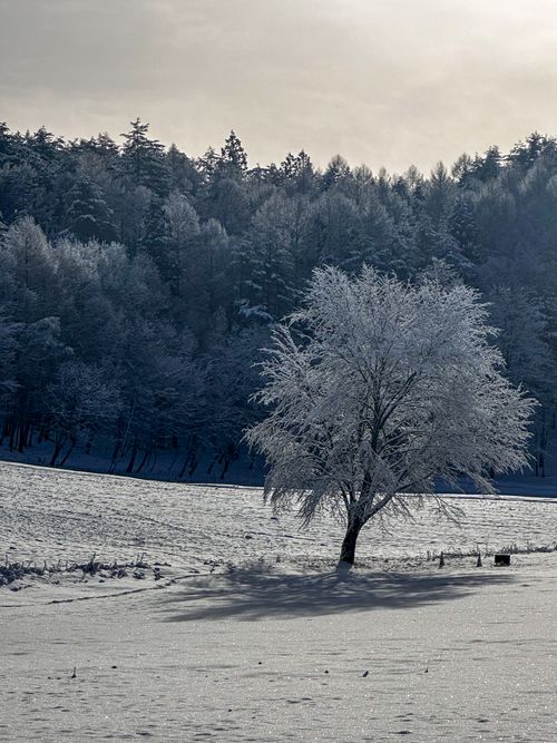 とうとう来たな...この時が！！ 中山高原キャンプ場 skitさんのキャンプブログ CAMPiii（キャンピー） -キャンプ専用SNS キャンプのすべてがここに集まる-
