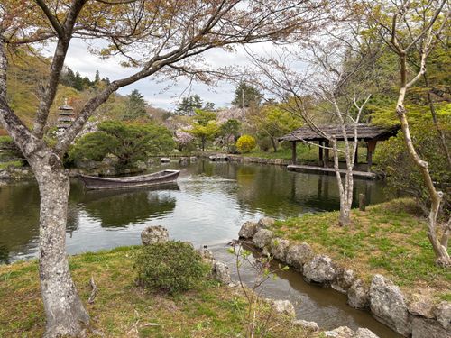 今年の桜は早かったキャンプ たびのCAMPING BASE 天守閣自然公園オートキャンプ場 ソロキャンプ 区画サイト やまなかさんのキャンプブログ CAMPiii（キャンピー） -キャンプ専用SNS キャンプのすべてがここに集まる-