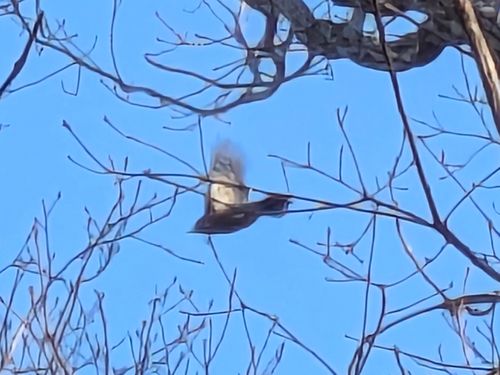 CAMPiii（キャンピー） ぞのさんさんのキャンプブログ 初幕。フォーエバー&hellip; 大阪府