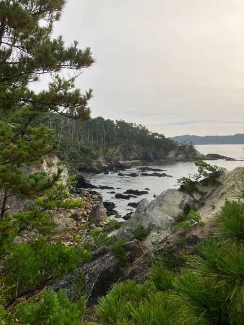 2026年2回目 休暇村気仙沼大島 ソロキャンプ フリーサイト はいはいさんのキャンプブログ CAMPiii（キャンピー） -キャンプ専用SNS キャンプのすべてがここに集まる-