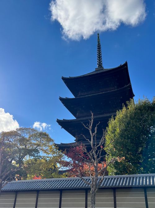 2025.11.16〜19 マイアミ浜オートキャンプ場 akemi.09.02さんのキャンプブログ CAMPiii（キャンピー） -キャンプ専用SNS キャンプのすべてがここに集まる-