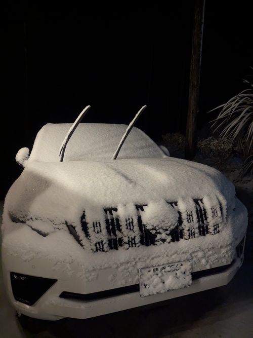 2026初キャンプ！SnowCamp withCAT！ the veg out ソロキャンプ グループキャンプ 区画サイト オートサイト ちあさんのキャンプブログ CAMPiii（キャンピー） -キャンプ専用SNS キャンプのすべてがここに集まる-