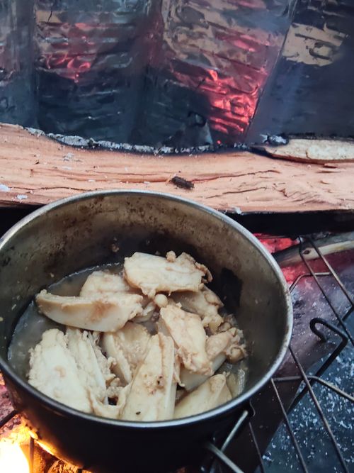 大阪の村 campsite麓 ソロキャンプ フリーサイト おっとまんSさんのキャンプブログ CAMPiii（キャンピー） -キャンプ専用SNS キャンプのすべてがここに集まる-