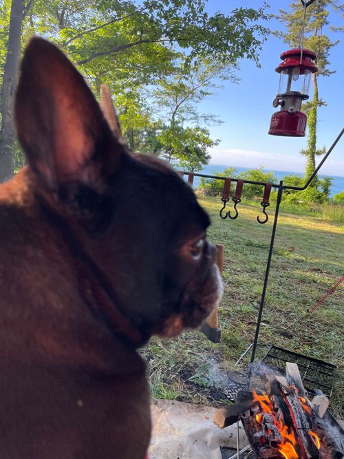 酒蔵で調達した酒のアテは、夕日が調味料の鮮魚と馬刺し 御所の台オートキャンプ場 ファミリーキャンプ フリーサイト ロコCamp0828さんのキャンプブログ CAMPiii（キャンピー） -キャンプ専用SNS キャンプのすべてがここに集まる-