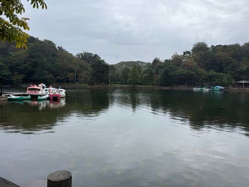 重い腰がようやく上がった、リハビリ昼メシ くろんど池自然公園 ソロキャンプ フリーサイト 野に出て飯を食う(野飯)さんのキャンプブログ CAMPiii(キャンピー) -キャンプ専用SNS キャンプのすべてがここに集まる-