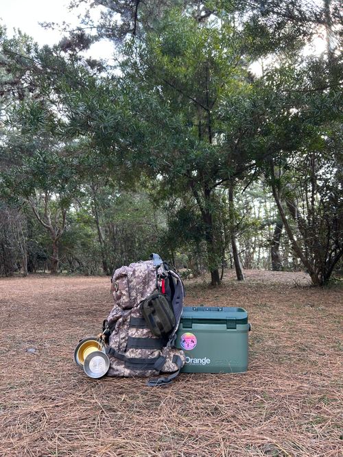 1月キャンプ　ソロでホームへ 美浜町煙樹海岸キャンプ場 ソロキャンプ フリーサイト △kuuga△さんのキャンプブログ CAMPiii（キャンピー） -キャンプ専用SNS キャンプのすべてがここに集まる-